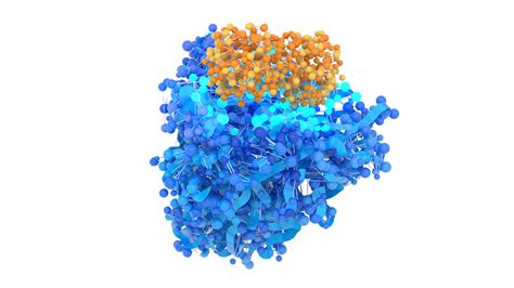 wwwxxee|xbee enzyme.